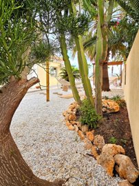 propertyimage1mssqm7jzj20250304041742