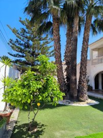propertyimage1n9cpicv9e20250426053828