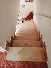 propertyimage1tbpawx4as20250430042054