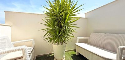 propertyimage1vctjwam1020250503053214