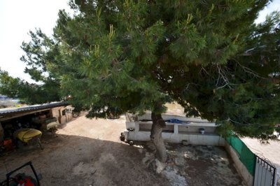propertyimage1sr4fd7cmg20250506053820