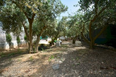 propertyimage1zecqhcaah20250506053842