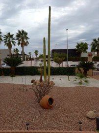 propertyimage1nvdhqa5ii20250324072623