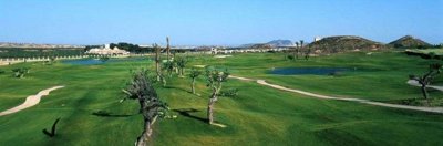 propertyimage1yl3ymg14y20250510071106