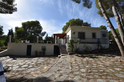propertyimage1wyzlcwhno20250516055227