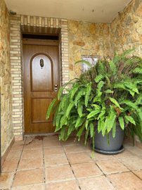propertyimage1irt1ffxyf20250530053839