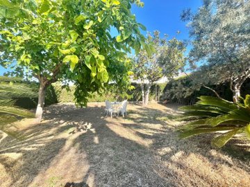 propertyimage1qbmwvbzbc20250602053203
