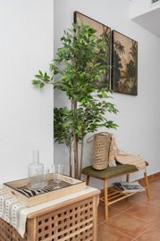 propertyimage1vnpgri0tm20250602053618