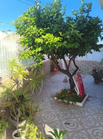 propertyimage18upehbhj420250604041604