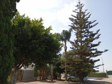 propertyimage1bnqblvolu20250619053724