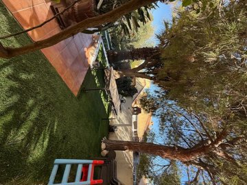 propertyimage1kd57pavee20250620055753