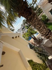 propertyimage1ydf47cbxy20250626060136
