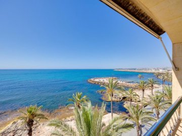 propertyimage1bemngx3wu20250703054109