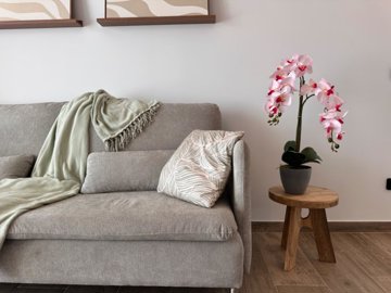 propertyimage10fdwxtqdn20250705054022