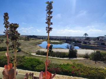 propertyimage1omztqwe7t20250820041239