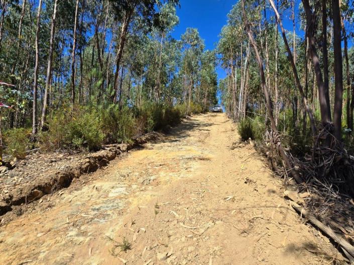 Image No.2-Terre à vendre à Pampilhosa da Serra