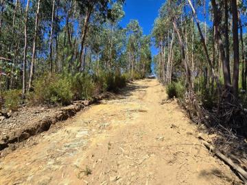 2---1112--NEW-NEW---Medium-