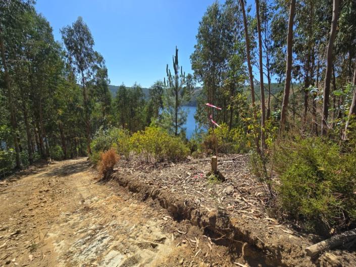 Image No.3-Terre à vendre à Pampilhosa da Serra