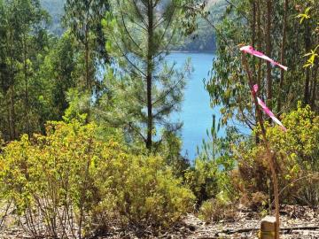 4---1112--NEW-NEW---Medium-