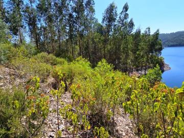 6---1112--NEW-NEW---Medium-