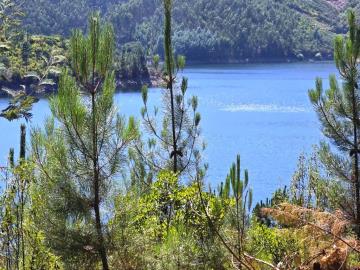 8---1112--NEW-NEW---Medium-