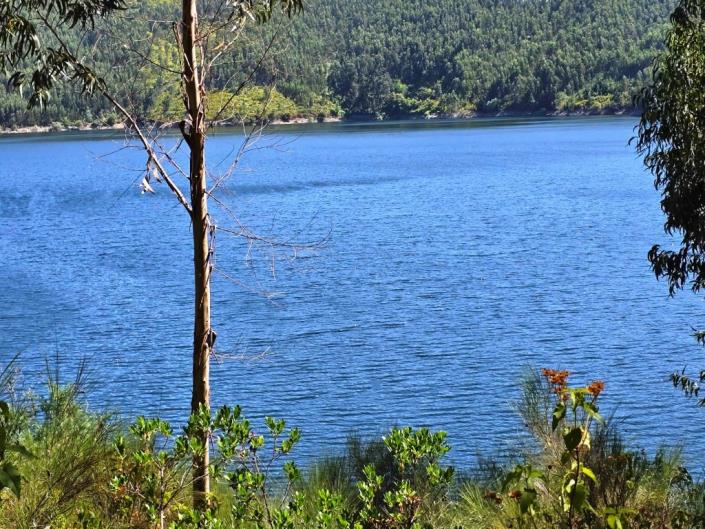 Image No.9-Terre à vendre à Pampilhosa da Serra