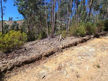 10---1112--NEW-NEW---Medium-