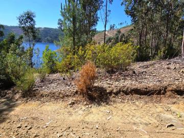 11---1112--NEW-NEW---Medium-