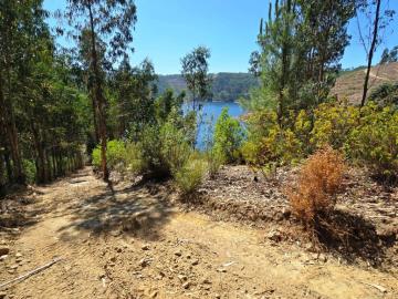 12---1112--NEW-NEW---Medium-