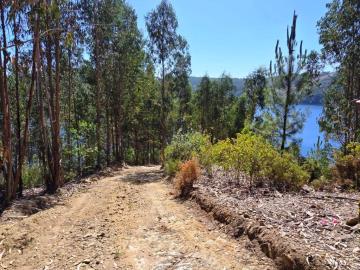 13---1112--NEW---NEW---Medium-