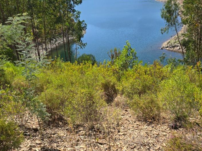 Image No.14-Terre à vendre à Pampilhosa da Serra