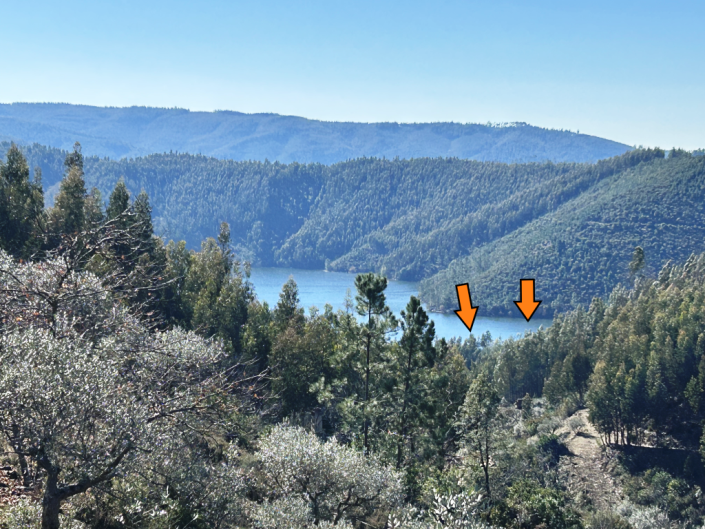 Image No.16-Terre à vendre à Pampilhosa da Serra