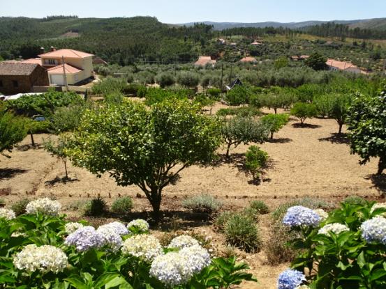 Image No.8-5 Bed Farmhouse for sale