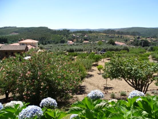 Image No.7-5 Bed Farmhouse for sale