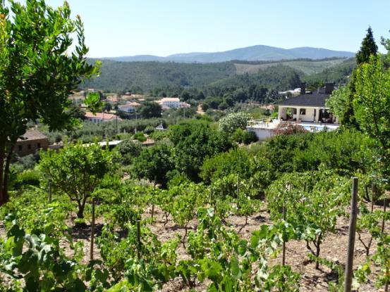 Image No.9-5 Bed Farmhouse for sale