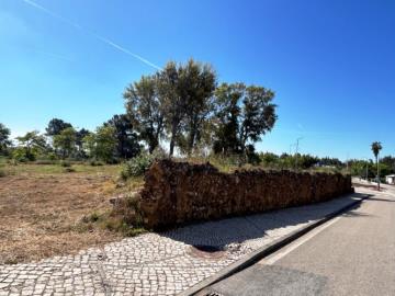 1 - Figueiró dos Vinhos, Terrain
