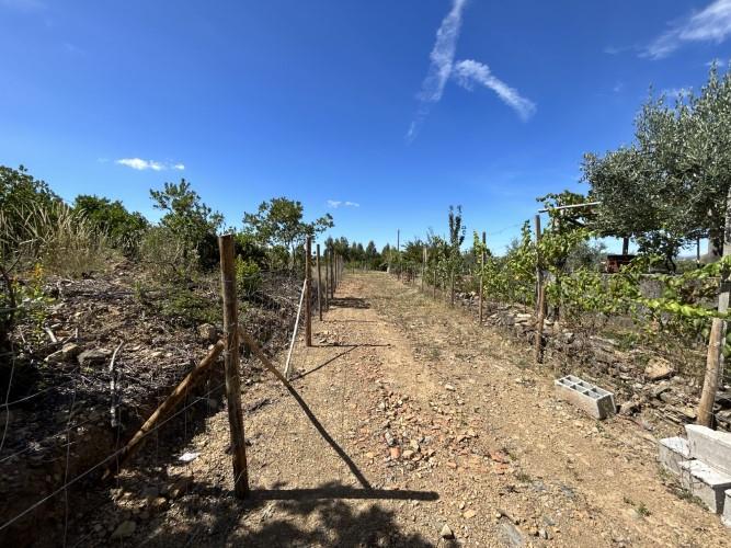 Image No.3-Land for sale