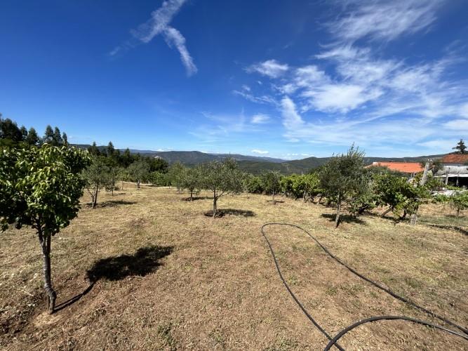 Image No.7-Land for sale