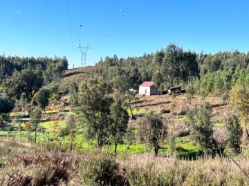 1 - Pedrógão Grande, Terre