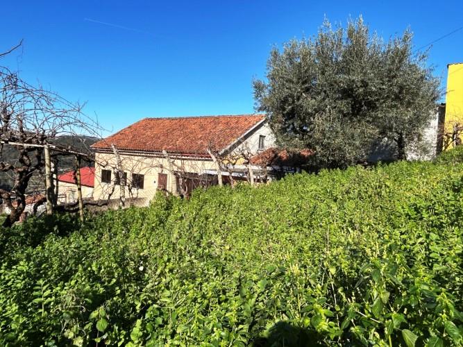 Image No.33-3 Bed Village House for sale