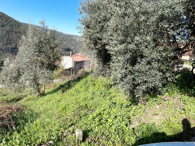 Image No.37-3 Bed Village House for sale