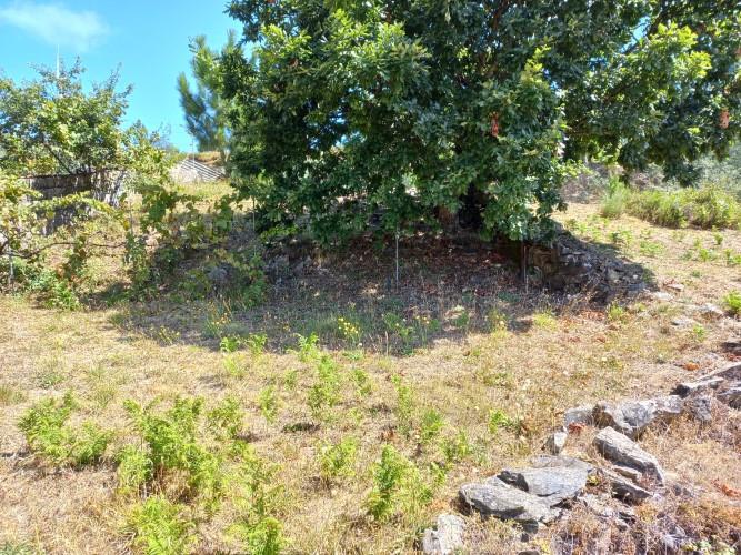 Image No.37-6 Bed House for sale