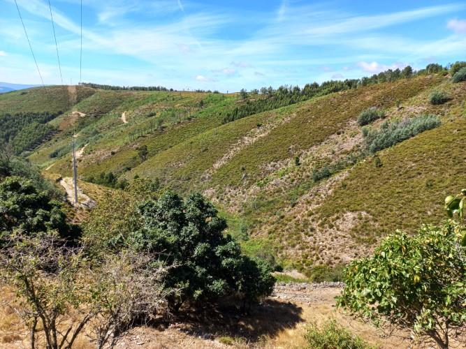 Image No.43-6 Bed House for sale