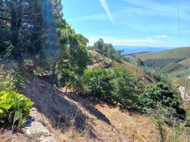 Image No.44-6 Bed House for sale