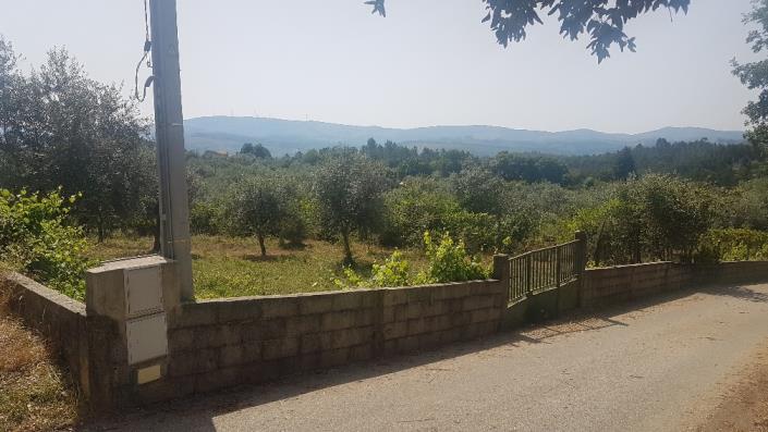 Image No.2-Plot for sale