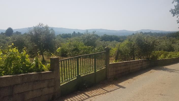 Image No.3-Plot for sale