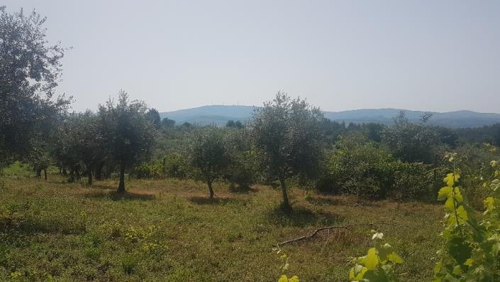 Image No.5-Plot for sale