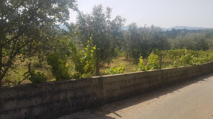 Image No.6-Plot for sale