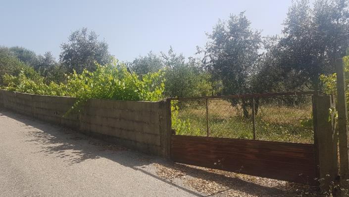 Image No.7-Plot for sale