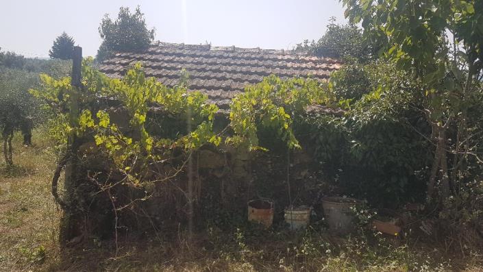 Image No.8-Plot for sale